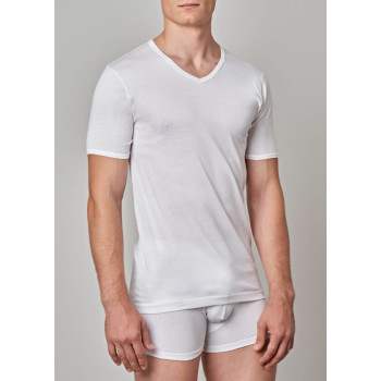 GICIPI men's V-neck lisle t-shirt 261