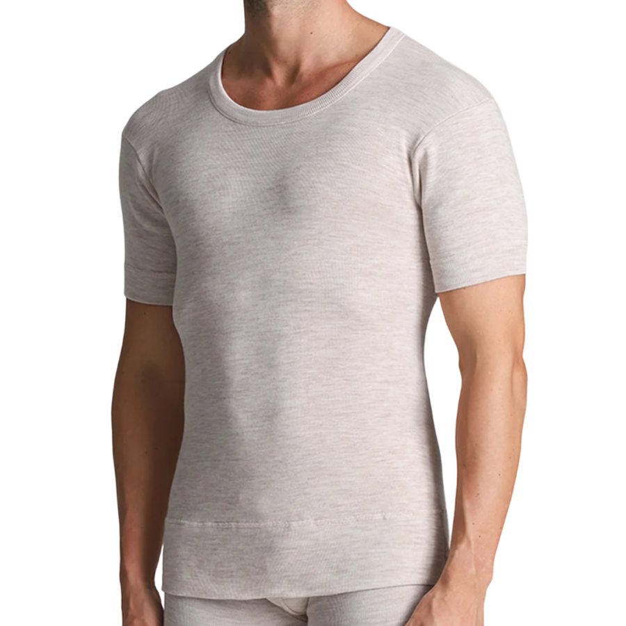 Pull homme manches courtes ALPINA 50% laine vierge