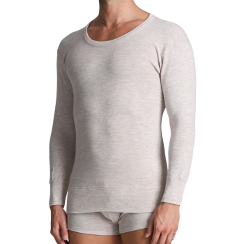 Pull homme manches longues ALPINA 50% laine vierge