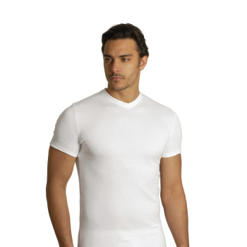 AXIOM Men's V-neck Pure Cotton Brushed Fleece T-shirt