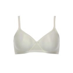 Shaping Bra with Underwire
