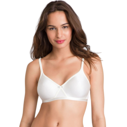 Shaping Bra with Underwire